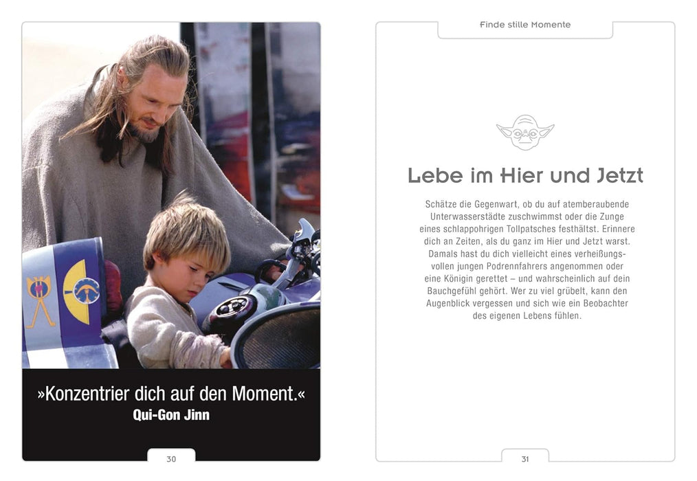 23033_star-wars-entdecke-den-yoda-in-dir-page2.jpg