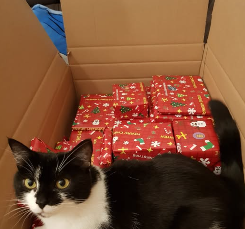 <h2>Kundenmeinungen zu unserem Adventskalender</h2>