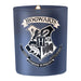 Harry Potter kaars