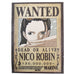 productImage-21880-one-piece-wanted-poster-2.jpg