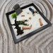 productImage-22440-zombie-zen-garten-4.jpg