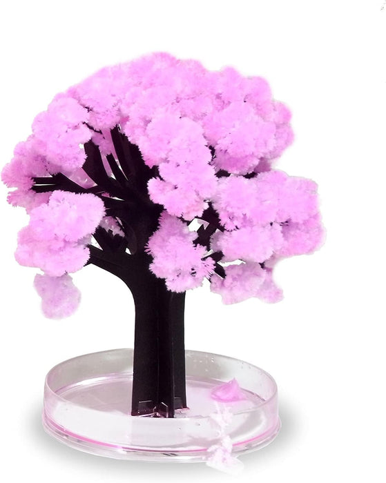 productImage-22441-magic-sakura-magisch-wachsender-kirschbaum-3.jpg