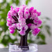 productImage-22441-magic-sakura-magisch-wachsender-kirschbaum-5.jpg