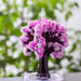productImage-22441-magic-sakura-magisch-wachsender-kirschbaum-6.jpg