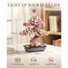 productImage-22507-sakura-bonsai-holzbausatz-1.jpg