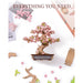 productImage-22507-sakura-bonsai-holzbausatz-6.jpg