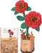 productImage-22508-holzbausatz-rote-kamelie-6.jpg