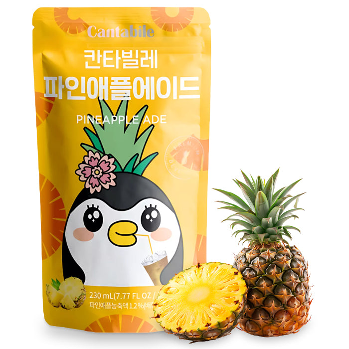 productImage-22581-cantabile-koreanische-limonaden-aus-dem-beutel-1.jpg