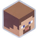productImage-22664-minecraft-metall-untersetzer-3.jpg
