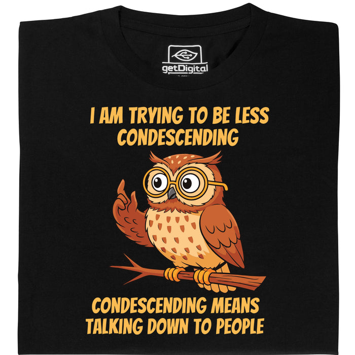 productImage-23007-condescending.jpg
