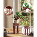 productImage-23110-immergruener-kiefernbonsai-holzbausatz-2.jpg
