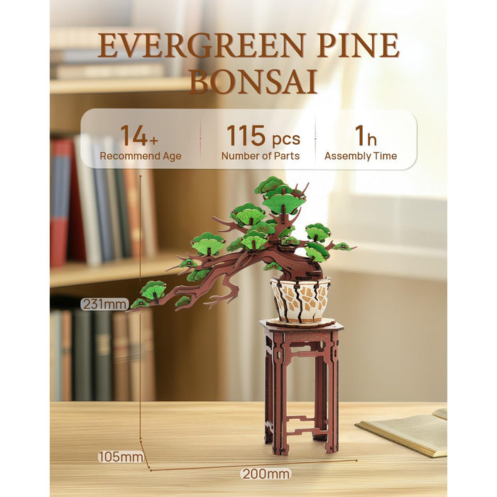 productImage-23110-immergruener-kiefernbonsai-holzbausatz-3.jpg