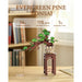 productImage-23110-immergruener-kiefernbonsai-holzbausatz-3.jpg