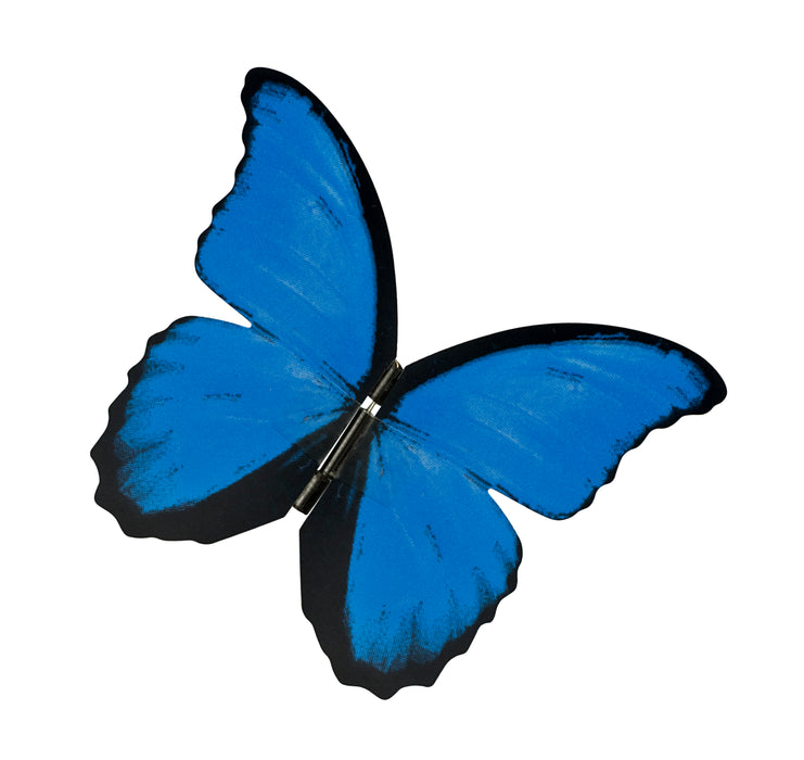 productImage-5757-elektronischer-schmetterling-11.jpg