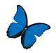 productImage-5757-elektronischer-schmetterling-11.jpg