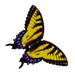 productImage-5757-elektronischer-schmetterling-8.jpg