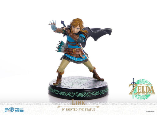 The Legend of Zelda: Tears of the Kingdom beeld Link