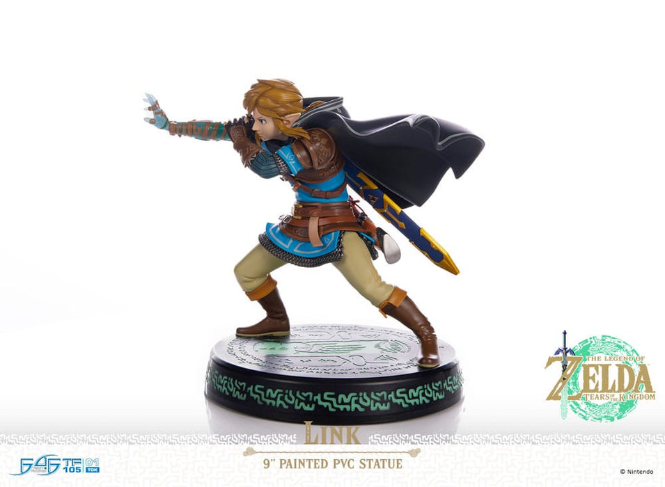 The Legend of Zelda: Tears of the Kingdom beeld Link