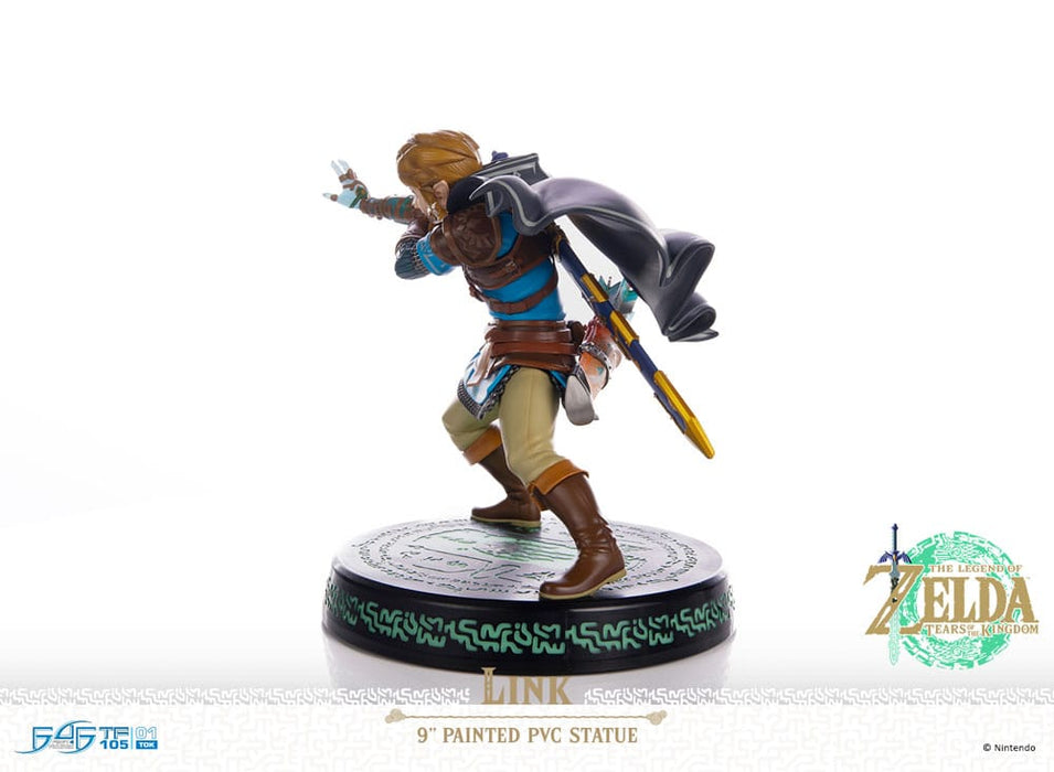 The Legend of Zelda: Tears of the Kingdom beeld Link