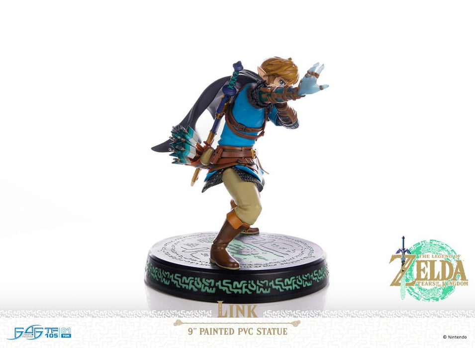 The Legend of Zelda: Tears of the Kingdom beeld Link