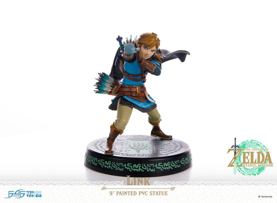 The Legend of Zelda: Tears of the Kingdom beeld Link