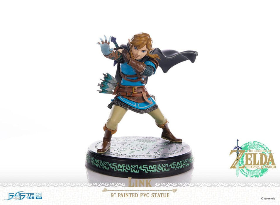 The Legend of Zelda: Tears of the Kingdom beeld Link