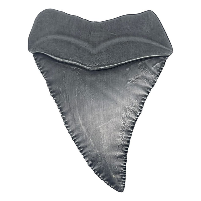 Les Dents de la mer Médaille de Collection Dent de Requin