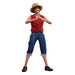 One Piece Monkey D. Luffy Actiefiguur (Netflix-serie)