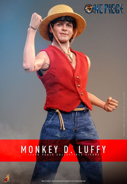 One Piece Monkey D. Luffy Actiefiguur (Netflix-serie)