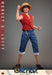 One Piece Monkey D. Luffy Actiefiguur (Netflix-serie)