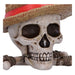 Boîte de rangement One Piece Jolly Roger de Luffy